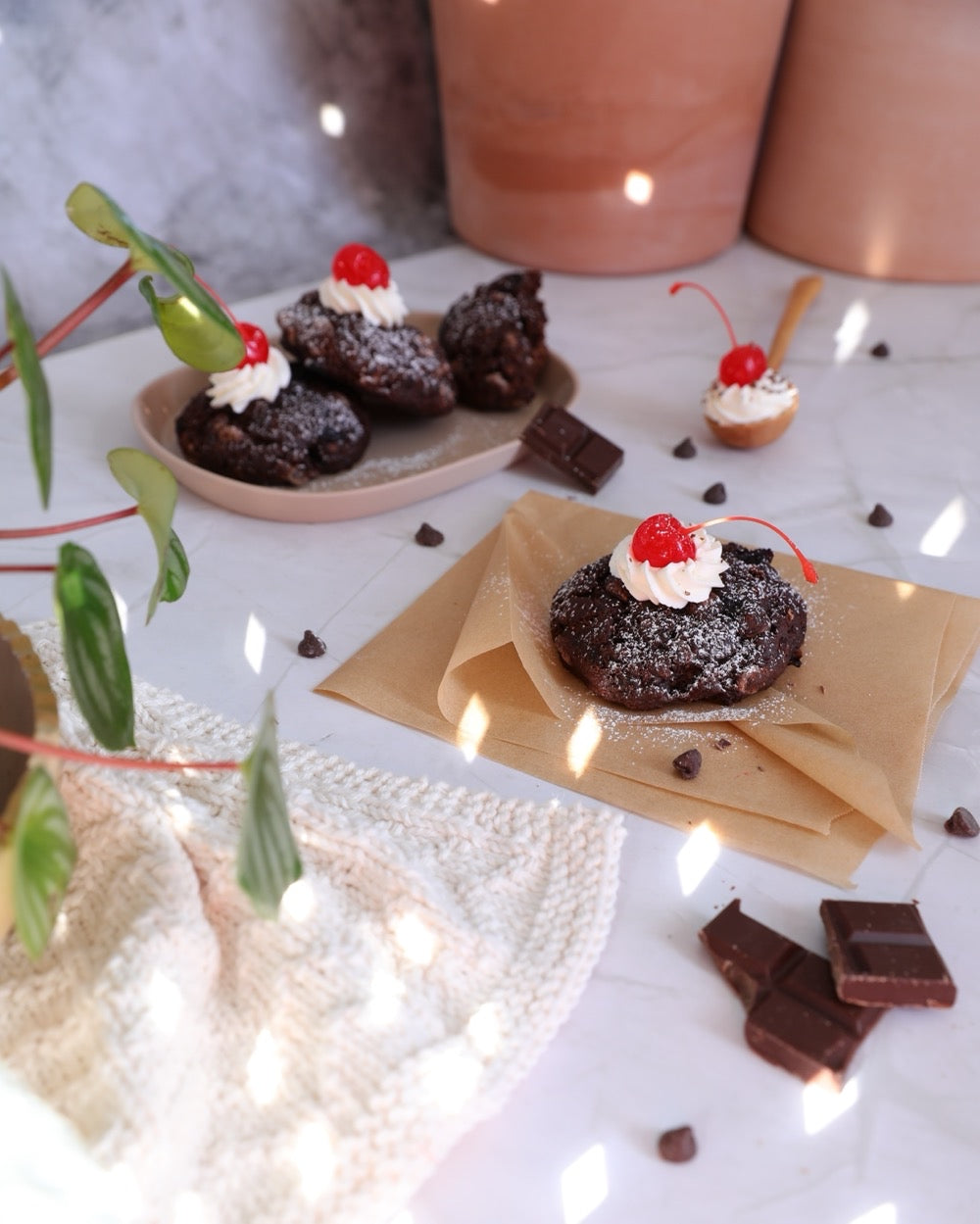 Biscuit forêt noire