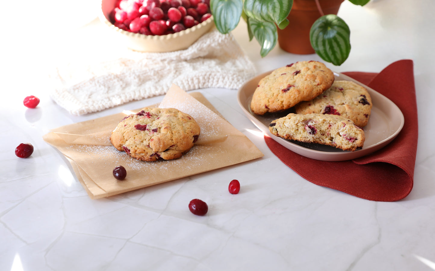 Biscuit chocolat blanc et canneberges